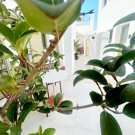 Joelia B Paros Holiday home